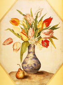 G.Garzoni, Tulpen und Birne von klassik art