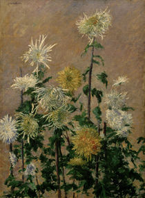 G.Caillebotte, Weiss.u.gelb.Chrysanthemen by klassik art