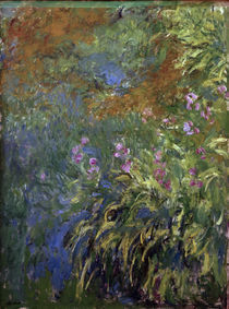 C.Monet, Iris am Teich by klassik art