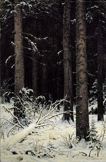I.I.Schischkin, Tannenwald im Winter by klassik art