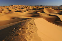  Marokko, Central Marokko, Merzouga von Jason Friend