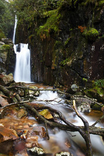 England, Cumbria, Lake District National Park by Jason Friend