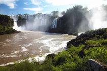 Argentina, Misiones, Iguazu National Park by Jason Friend