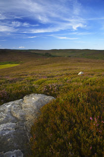 England Northumberland Rothbury Die von Jason Friend