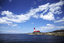 England Northumberland Farne Islands by Jason Friend