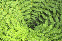  Neuseeland, Südinsel, Able Tasman National Park von Jason Friend