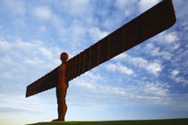 England, Tyne And Wear, Angel Of The North by Jason Friend