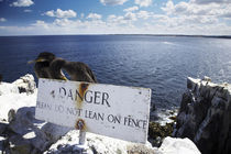 England Northumberland Farne Islands von Jason Friend