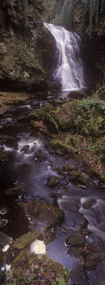 England, Northumberland, Northumberland National Park. by Jason Friend