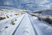 England, Northumberland, Northumberland-Nationalpark. von Jason Friend