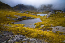 Neuseeland, Southland, Fjordland Nationalpark. von Jason Friend