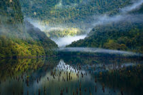 New Zealand, Southland, Fiordland National Park. by Jason Friend