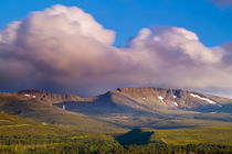 Scotland, Scottish Highlands, Cairngorms National Park. by Jason Friend