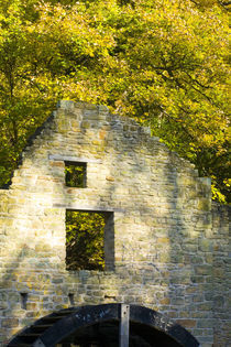 Mabel'S Mill, A Water Corn Mill Of The Ridleys by Jason Friend