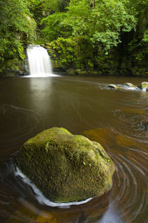 England, North Yorkshire, North York Moors Nationalpark. von Jason Friend