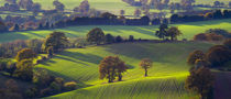 England, Staffordshire / Worcestershire, Kinver Edge. von Jason Friend