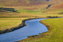 Schottland, Scottish Borders, Ettrick Valley von Jason Friend