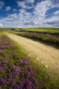 England, Northumberland, Blanchland. von Jason Friend