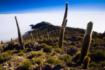 Bolivia, Southern Altiplano, Salar De Uyuni. by Jason Friend