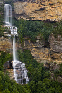 Australia, New South Wales, Blue Mountains National Park. by Jason Friend