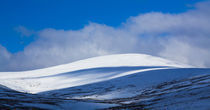 England, Northumberland, Northumberland National Park. by Jason Friend