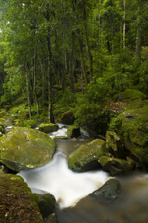 Australien, New South Wales, Blue Mountains National Park. von Jason Friend