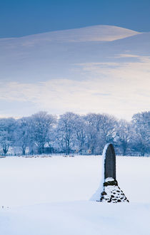 Scotland, South Lanarkshire, Clyde Valley. by Jason Friend