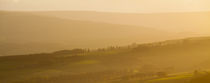 England, County Durham, Weardale. von Jason Friend