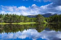 Scotland, Scottish Highlands, Cairngorms National Park. by Jason Friend