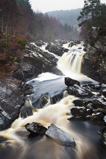 Schottland, Schottische Highlands, Rogie Wasserfälle. von Jason Friend