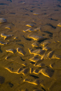 Australien, New South Wales, Royal National Park. von Jason Friend