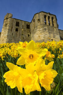 England, Northumberland, Warkworth. von Jason Friend