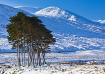 Scotland, Scottish Highlands, Dirrie More. by Jason Friend