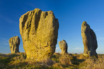 England, Northumberland, Duddo Five Stones. von Jason Friend