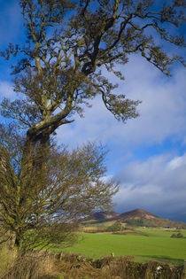 Scotland, Scottish Borders, Eildon Hills. by Jason Friend