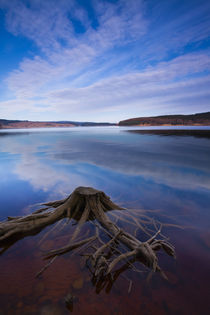 England, Northumberland, Kielder Water &Amp; Forest Park. by Jason Friend