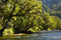 Neuseeland, Southland, Fjordland Nationalpark. von Jason Friend