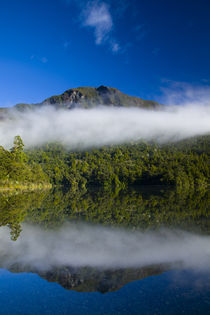 Neuseeland, Southland, Fjordland Nationalpark. von Jason Friend