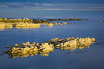 New Zealand, Marlborough, Kaikoura. by Jason Friend