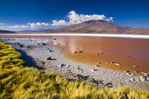 Bolivia, Southern Altiplano, Laguna Colorada. by Jason Friend