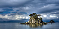 New Zealand, Nelson, Abel Tasman National Park. by Jason Friend