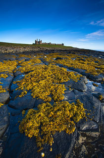 England, Northumberland, Dunstanburgh Schloss. von Jason Friend