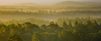 Schottland, Schottische Highlands, Cairngorms Nationalpark. von Jason Friend