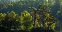 England, Cumbria, Lake District National Park. by Jason Friend