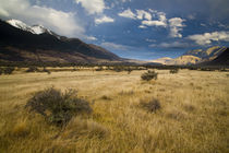 Neuseeland, Canterbury, Arthur's Pass Nationalpark. von Jason Friend