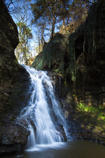 England, Northumberland, Hareshaw Linn. von Jason Friend