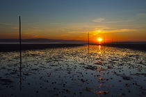 England, Northumberland, Northumberland Heritage Coast. by Jason Friend