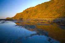 Australia, New South Wales, Royal National Park. by Jason Friend