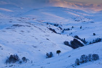 Scotland, Scottish Highlands, Cairngorms National Park. by Jason Friend