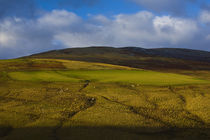 Scotland, Scottish Borders. by Jason Friend